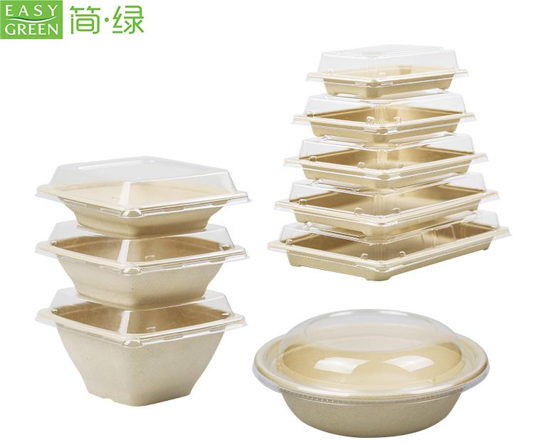 Bagasse_Food_Packing_1.jpg Bagasse_Food_Packing_1.jpg